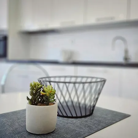 Zore Apartment